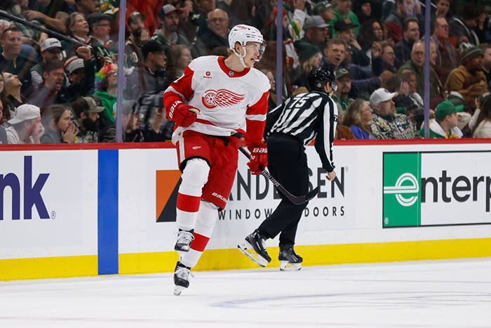 What Went Wrong For The Wings This Season?