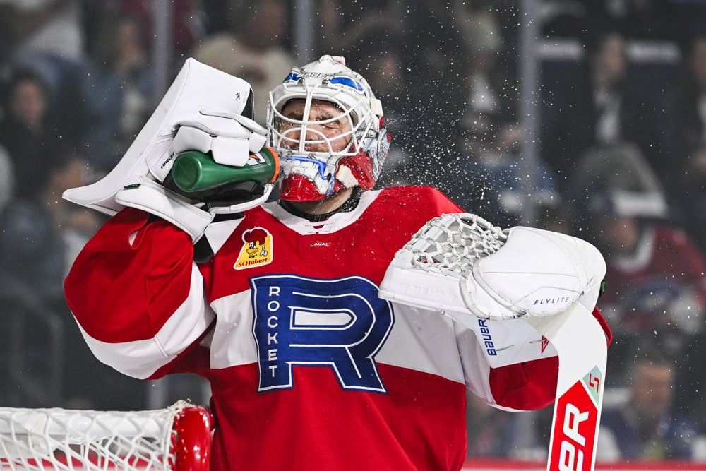 Habs Notepad: Opportunities for Fowler and Mailloux