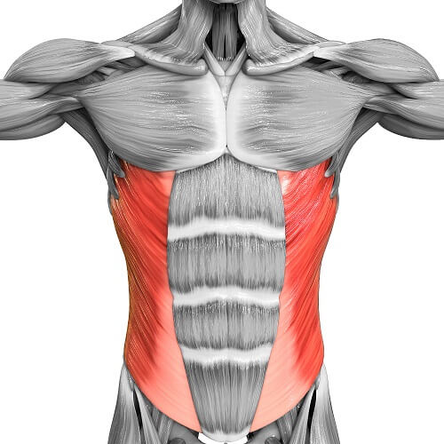 Oblique Muscle Flames